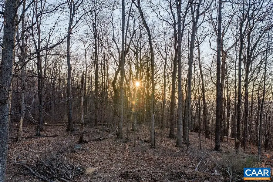 767 Far Knob Climb, Nellysford, VA 22958 - Image #2