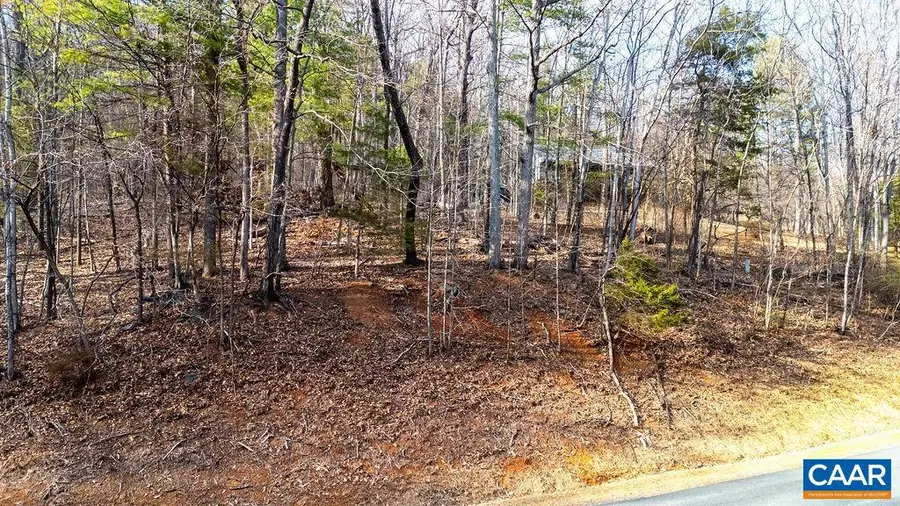 Lot 28 Stone Chimneys Rd #28, Nellysford, VA 22958 - #3
