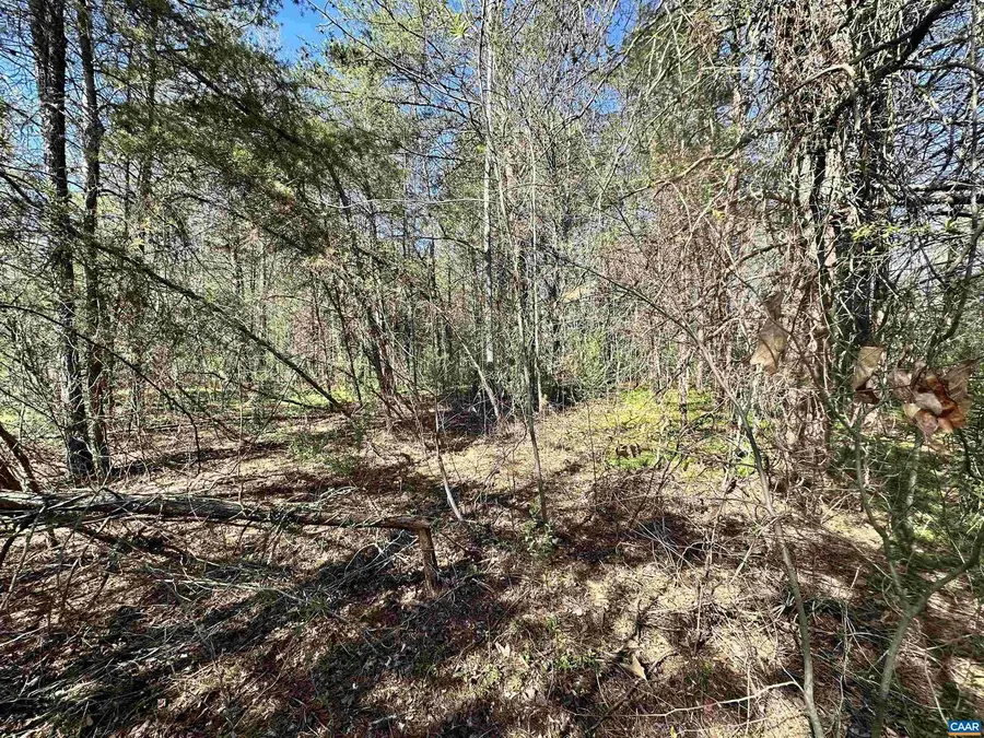 00 Indian Trace Trl #12, Unionville, VA 22567 - #3