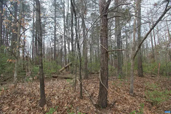 Tbd Sulphur Mine Rd, CHARLOTTESVILLE, VA 22911