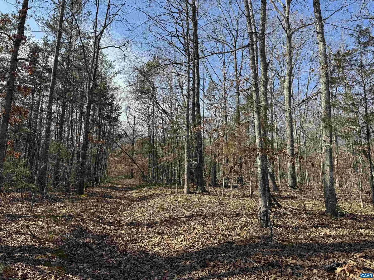 2301 Three Notch Rd, Kents Store, VA 23084 - #1