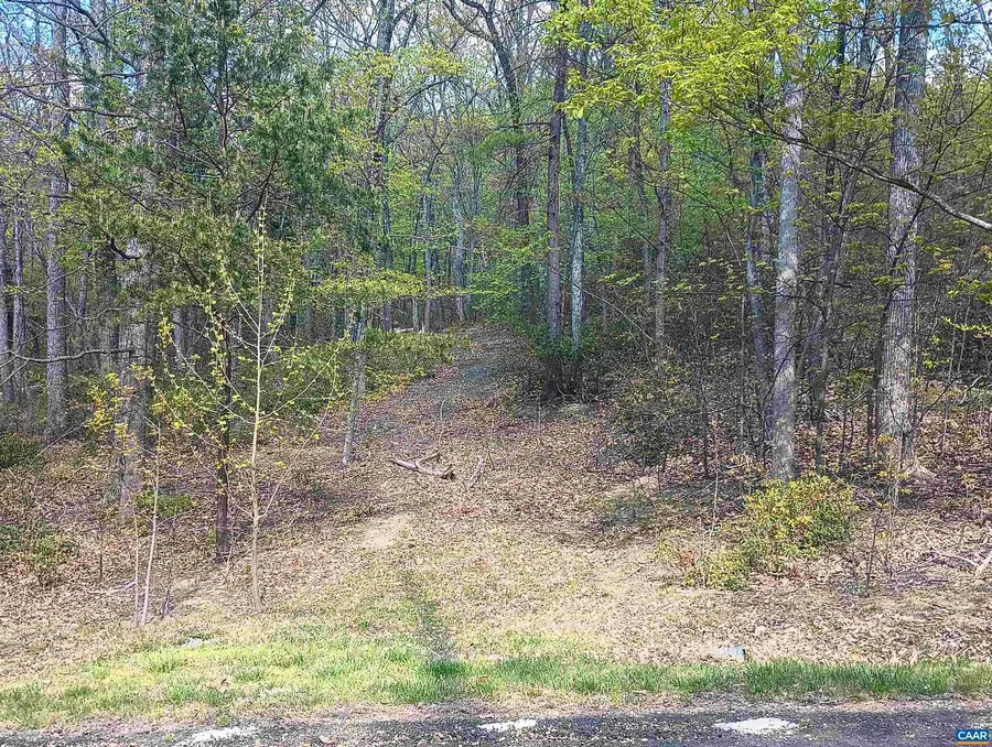 0 Rockfish Heights Ln #5, Nellysford, VA 22958 - #2