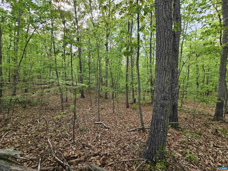 3.1 Ac Axtell Rd, Howardsville, VA 24562 - #2