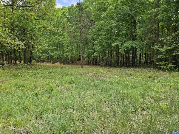 8.65 Ac Pond Rd, BUCKINGHAM, VA 23921
