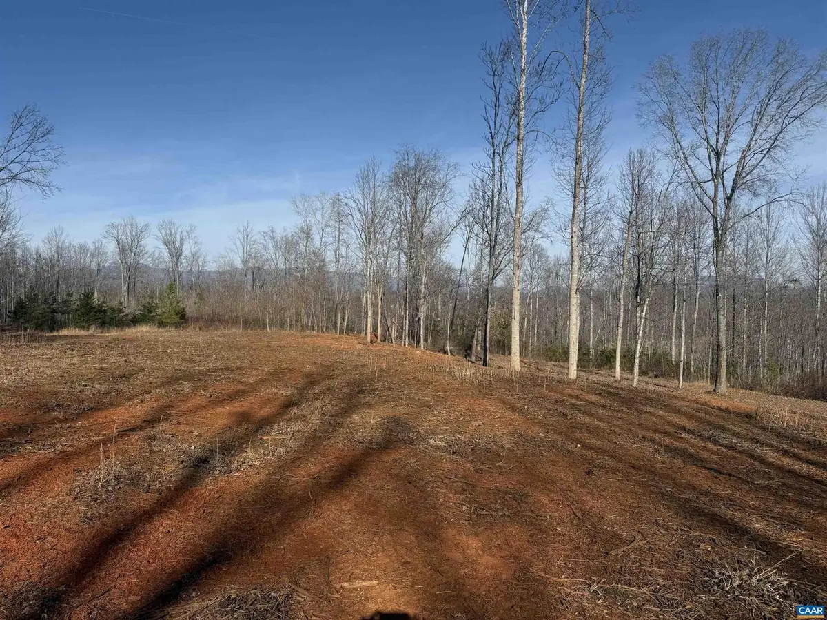 0 Wingfield Dr, Goode, VA 24556 - #1