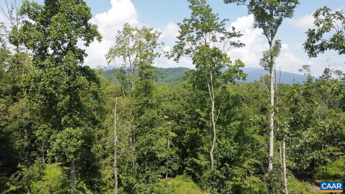 0 Adial Rd #10, Faber, VA 22938 - #1