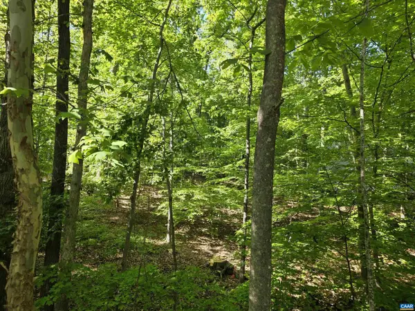 717 Jefferson Dr #section 2 Lot 369, PALMYRA, VA 22963