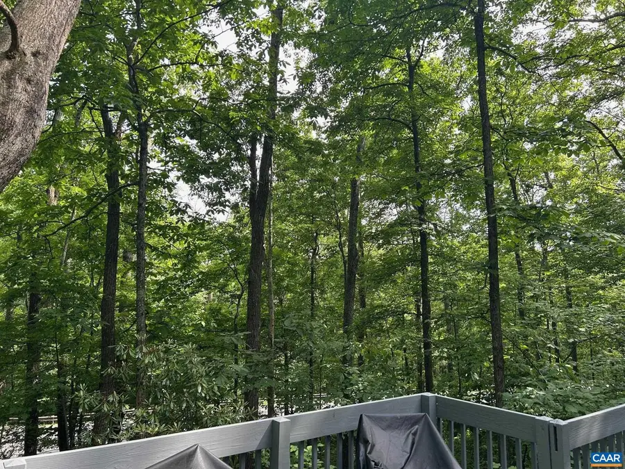 25 Hickorynut Rd, Roseland, VA 22967 - #2
