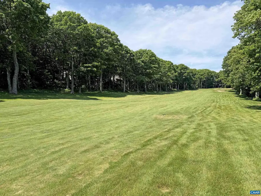 20 Blue Ridge Ct, Wintergreen Resort, VA 22967 - #3