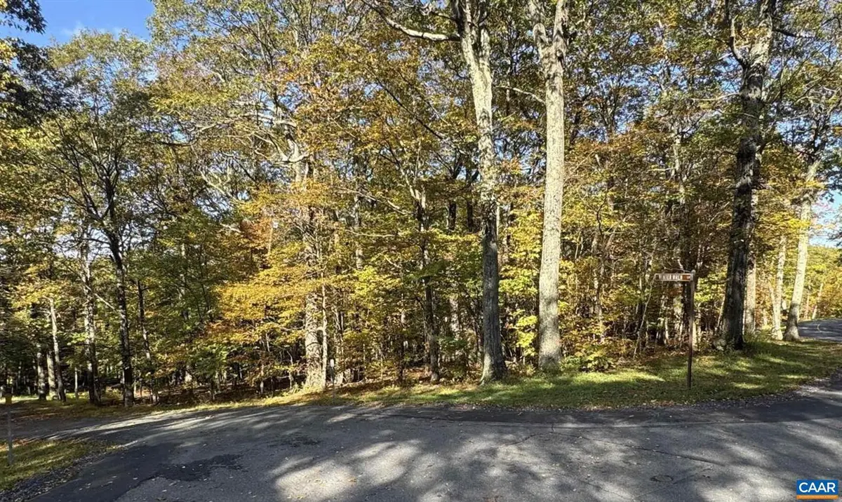 Tbd Winter Wren Ln #20, Wintergreen Resort, VA 22967 - #1