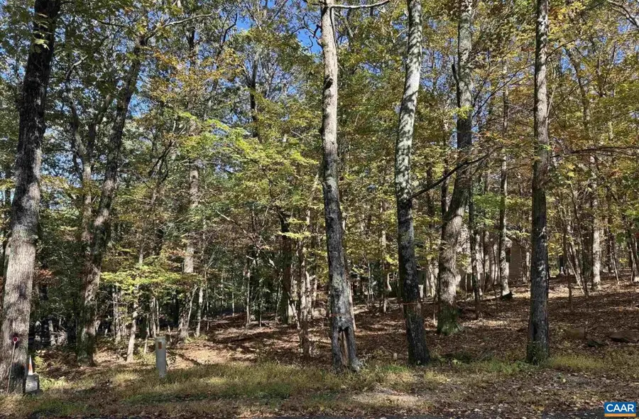 Tbd Winter Wren Ln #20, Wintergreen Resort, VA 22967 - #3