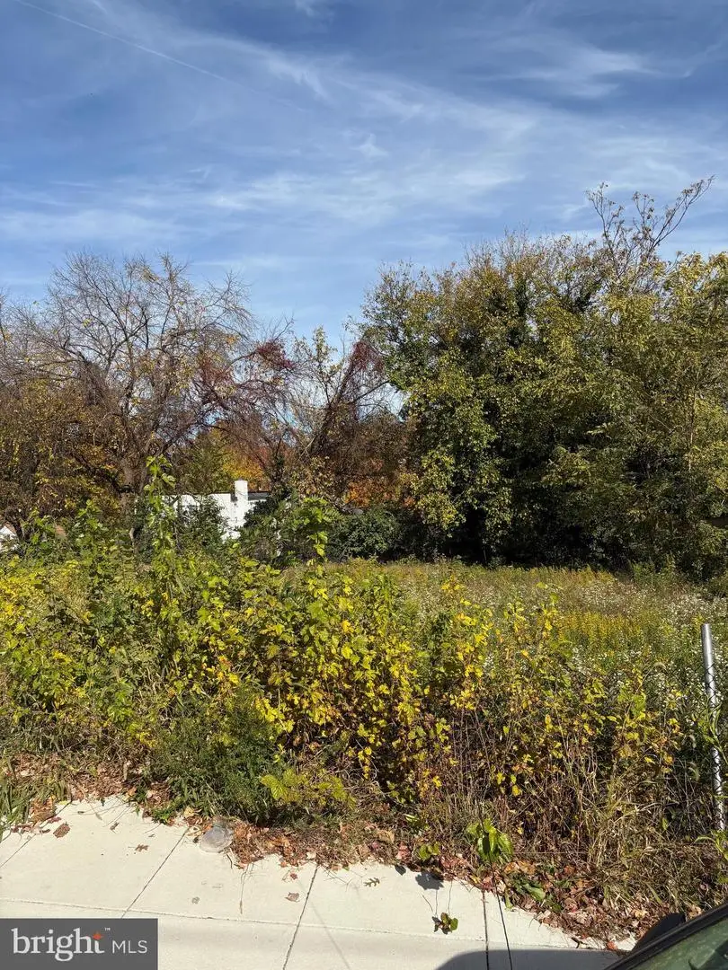 5038 A St Se, Washington, DC 20019 - Image #3