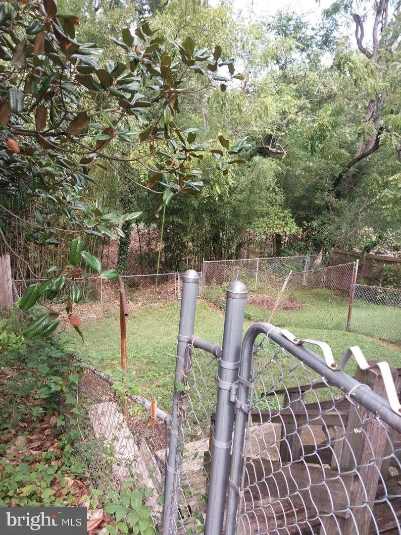 5610 Clay Pl Ne, Washington, DC 20019 - Image #3