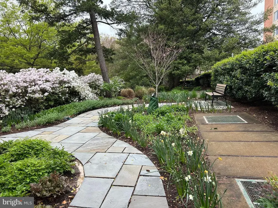 4301 Massachusetts Ave Nw #7001, Washington, DC 20016 - Image #2