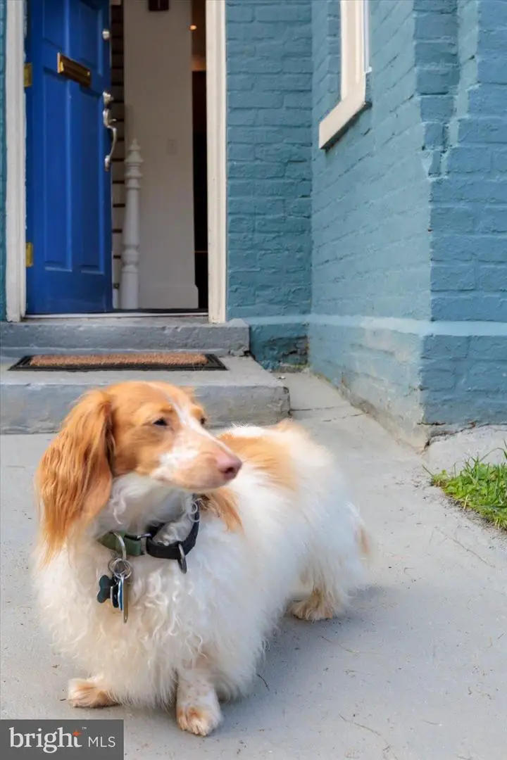 911 Independence Ave Se, Washington, DC 20003 - #2