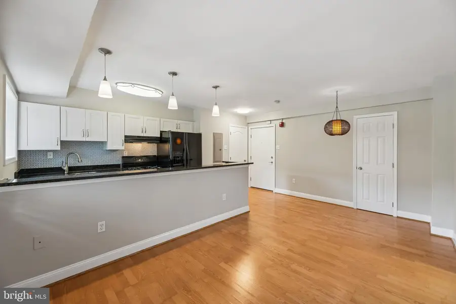 738 Longfellow St Nw #217, Washington, DC 20011 - #3