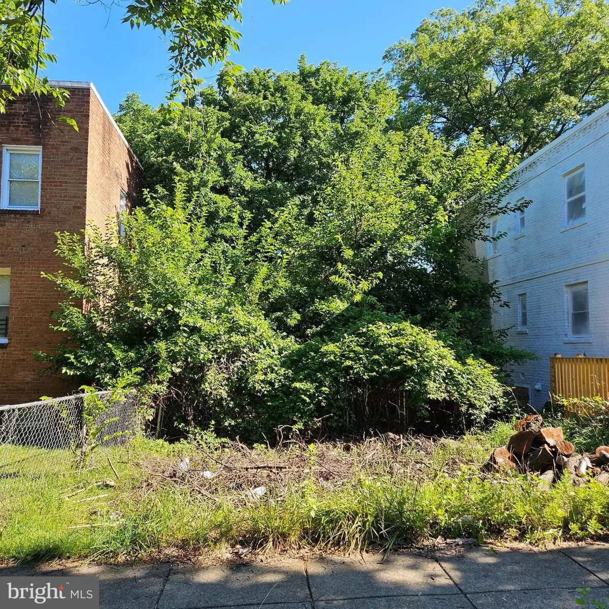 4224 Foote St Ne, Washington, DC 20019 - #1