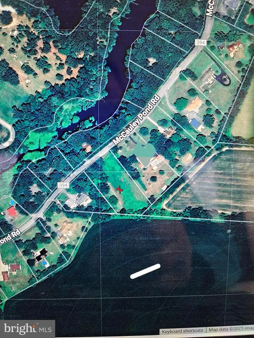 Lot 8 Mccauley Pond Rd, Harrington, DE 19952 - Image #1