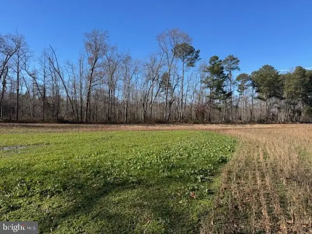 0 Sandtown Rd, Felton, DE 19943 - Image #3