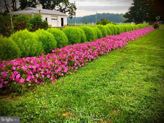 1340 Hazlettville Rd, Hartly, DE 19953 - #2