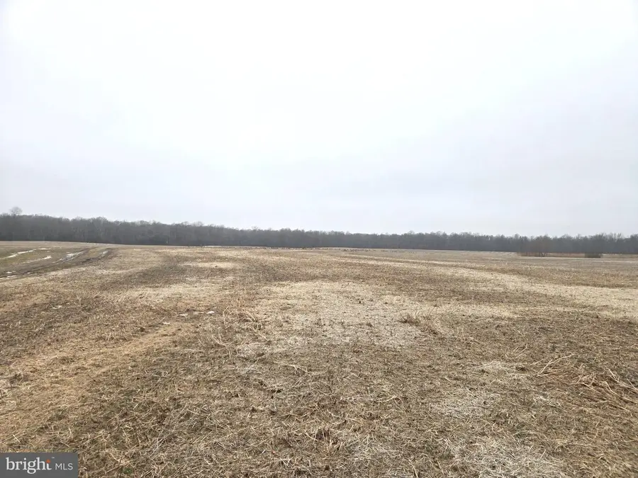 Winding Creek Rd, Dover, DE 19901 - #2