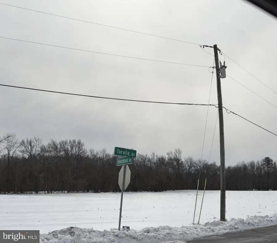 Lot Hourglass Rd, Hartly, DE 19953 - #2