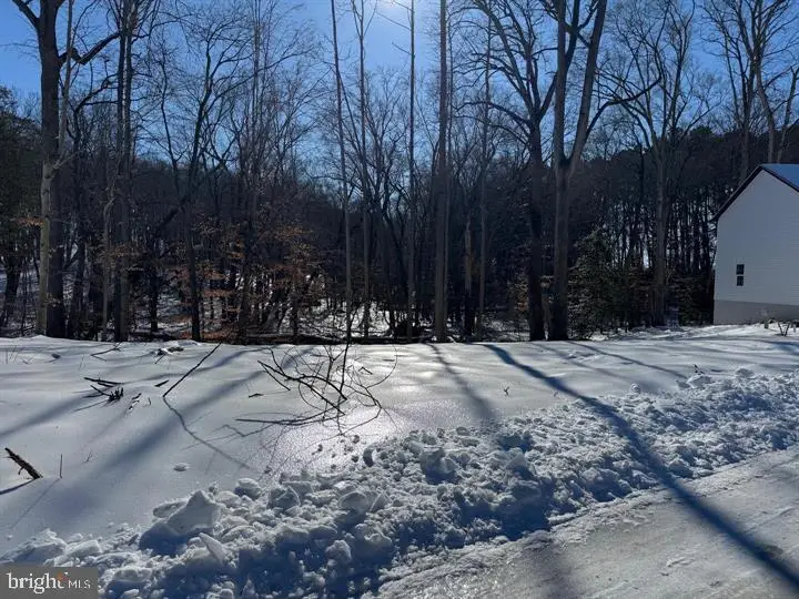 144 Pratts Branch Rd, Felton, DE 19943 - #2