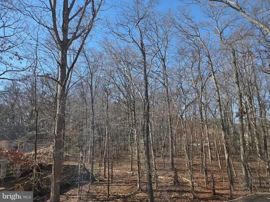 11 Tanzanite Ct, Dover, DE 19904 - #3