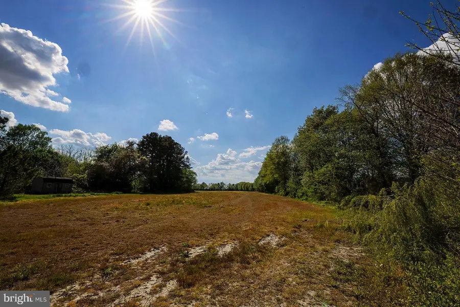 593 Gravesend Rd, Smyrna, DE 19977 - #3