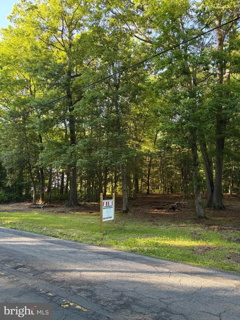 0 Mahan Corner Rd, Marydel, DE 19964 - #2