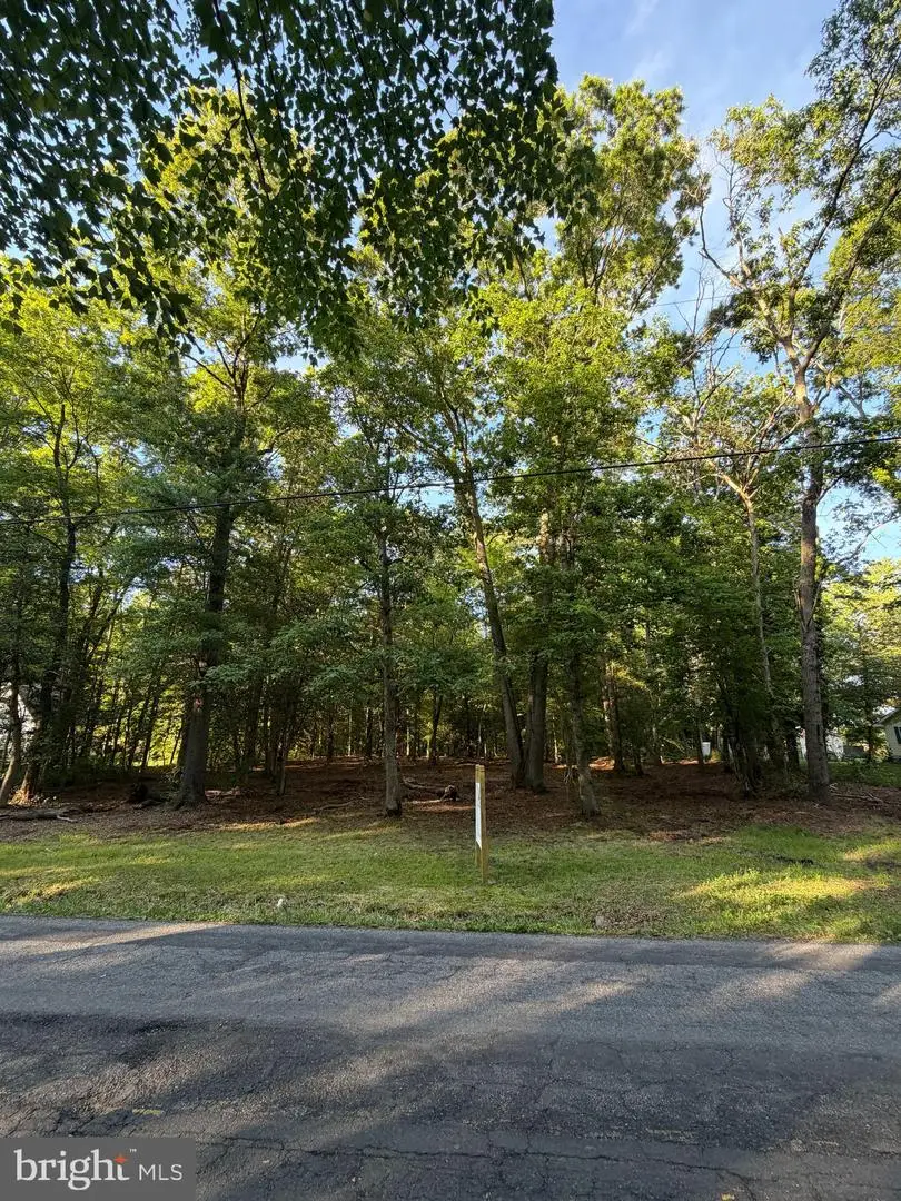0 Mahan Corner Rd, Marydel, DE 19964 - #3