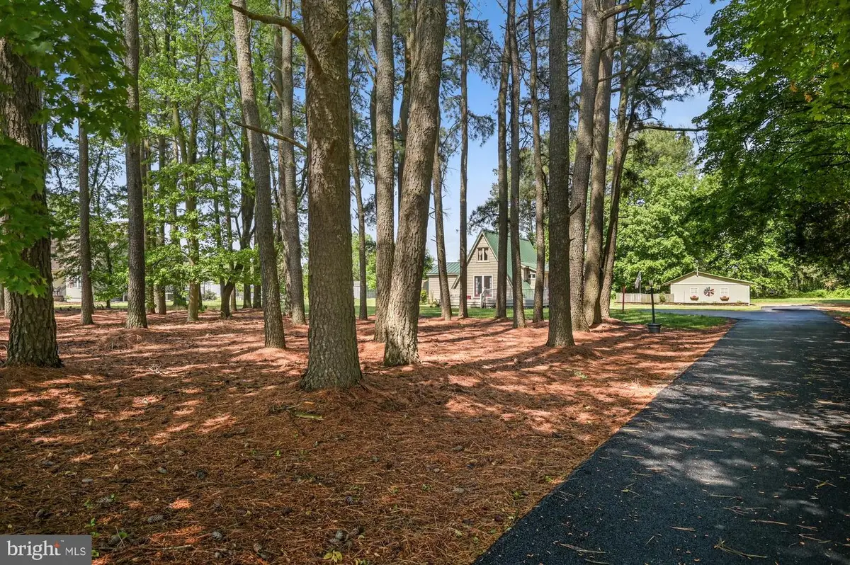 151 Peach Basket Rd, Felton, DE 19943 - #1
