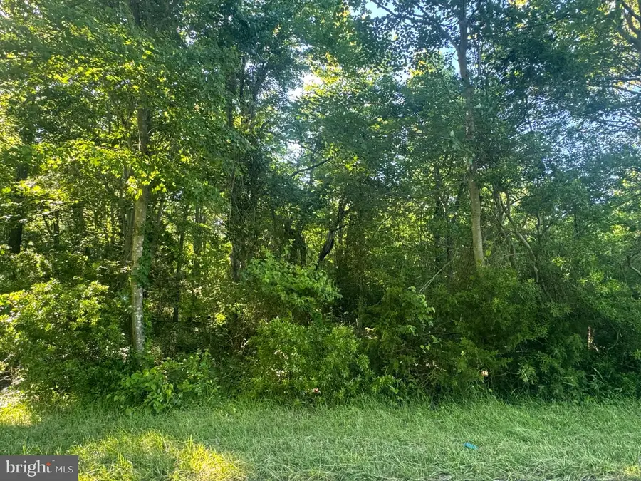 Lots 47 & 48 Pickering Beach Rd, Dover, DE 19901 - #3