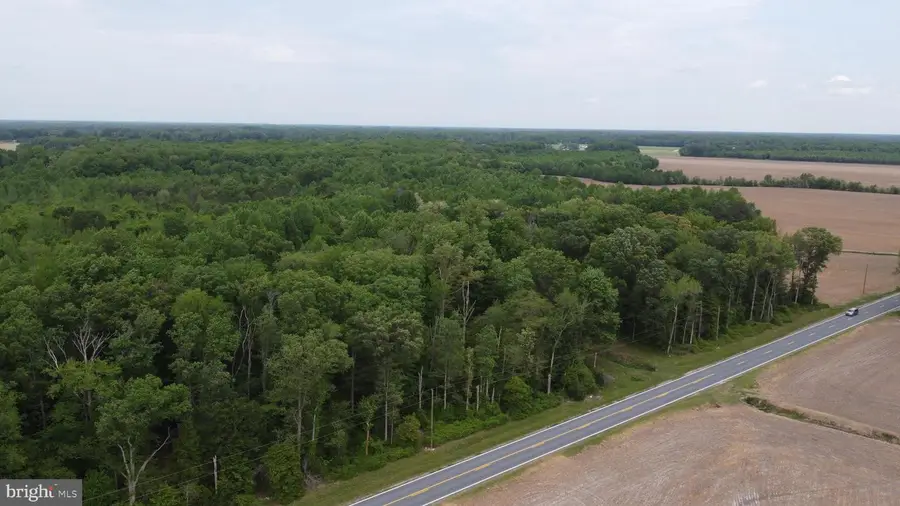 Lot 4 Cedar Grove Church Rd, Felton, DE 19943 - #2
