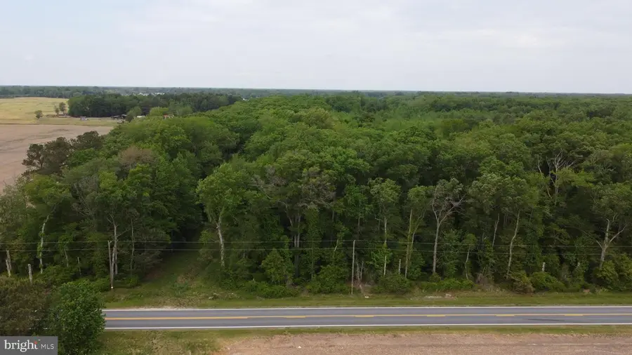 Lot 14 Cedar Grove Church Rd, Felton, DE 19943 - #3