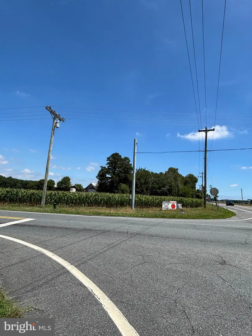 Lot #3 Midstate, Felton, DE 19943 - #3