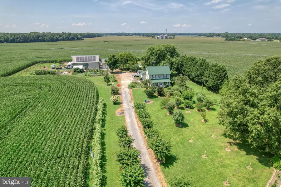 994 Vernon Rd, Harrington, DE 19954 - #3