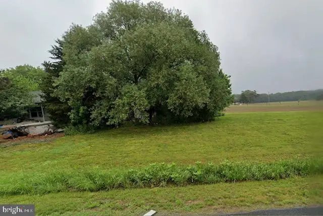 378 Black Swamp Rd, Felton, DE 19943 - #2