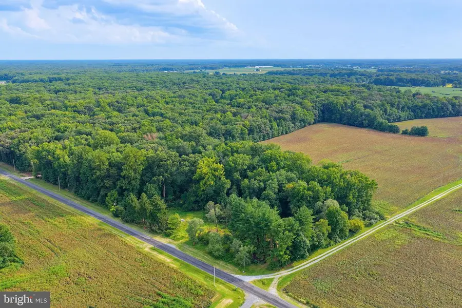 1494 Crystal Rd, Hartly, DE 19953 - #3
