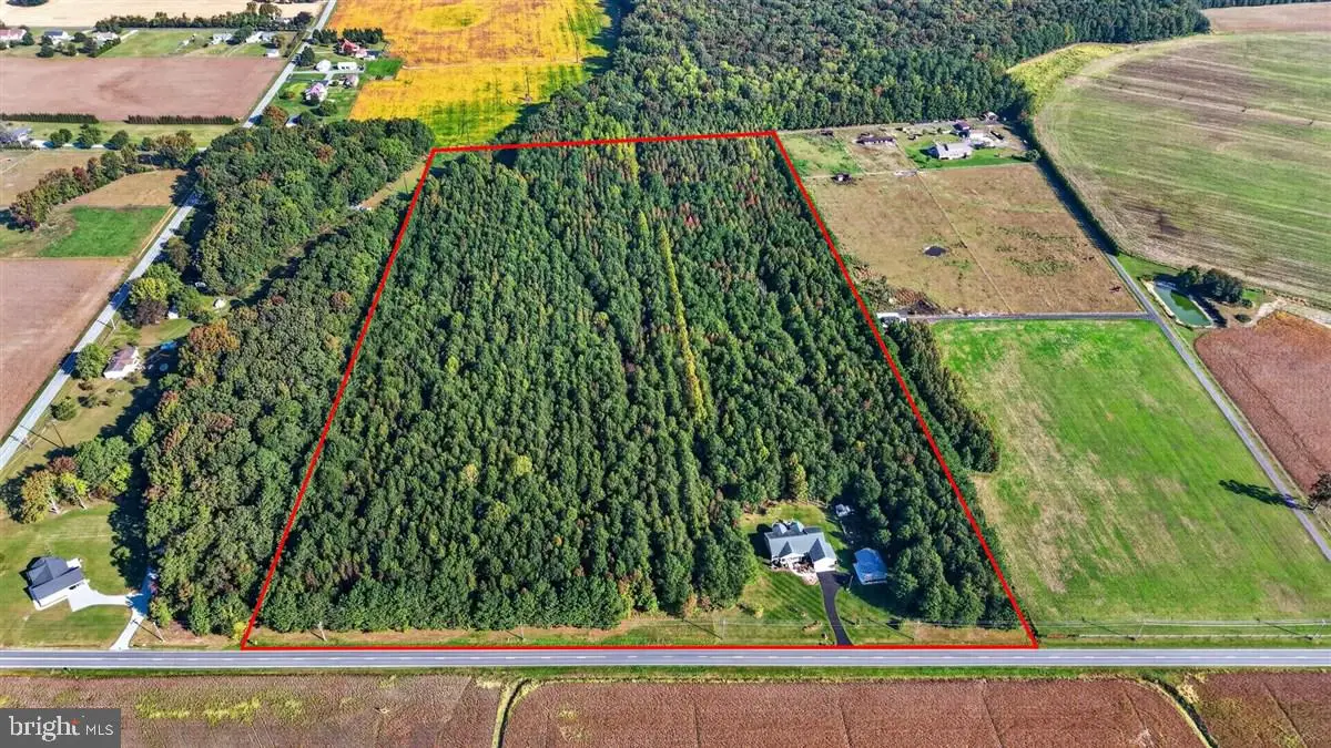 1466 Hopkins Cemetery Rd, Harrington, DE 19952 - #1