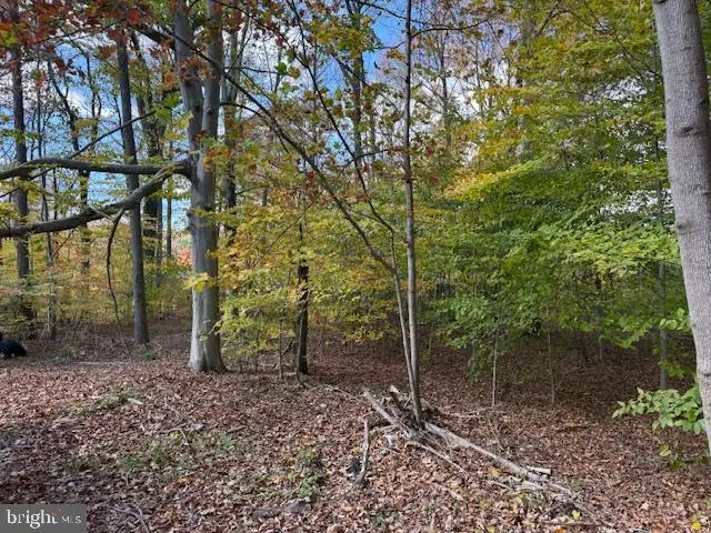 12 Pleasant Wood Rd, Newark, DE 19702 - Image #2