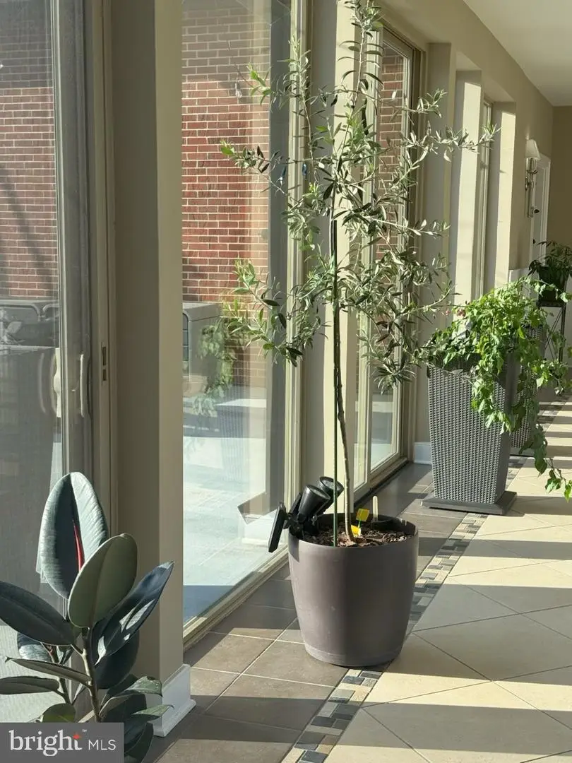 113 E Main St #218, Newark, DE 19711 - #3