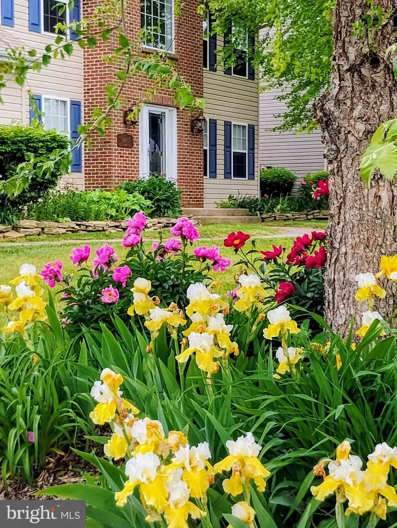 206 W Thomas Ct, Middletown, DE 19709 - #3