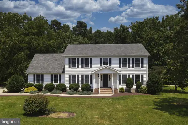 166 E Mill Pond Dr, SELBYVILLE, DE 19975