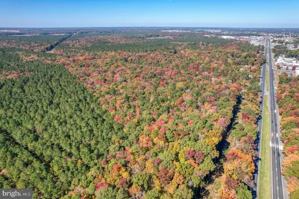 30836 Dupont Blvd, DAGSBORO, DE 19939