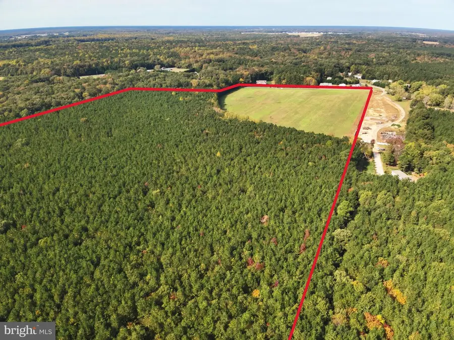 0 Rt 317, Georgetown, DE 19947 - Image #3