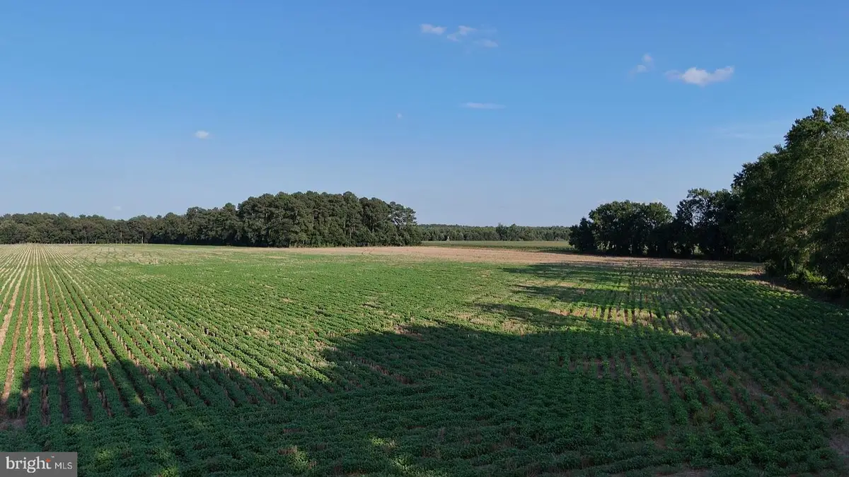 1.62 Acres Russell, Bridgeville, DE 19933 - Image #1