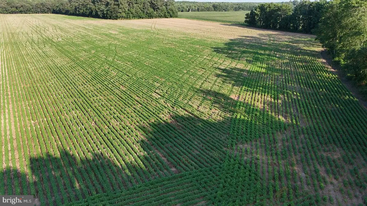 Parcel B Russell Rd, Bridgeville, DE 19933 - Image #1