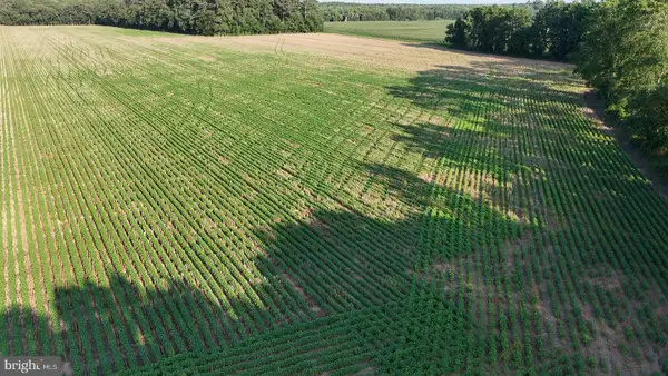 Parcel B Russell Rd, BRIDGEVILLE, DE 19933