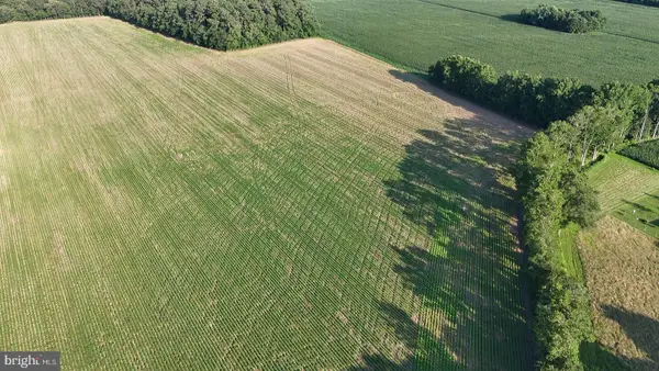 Parcel C Russell, BRIDGEVILLE, DE 19933